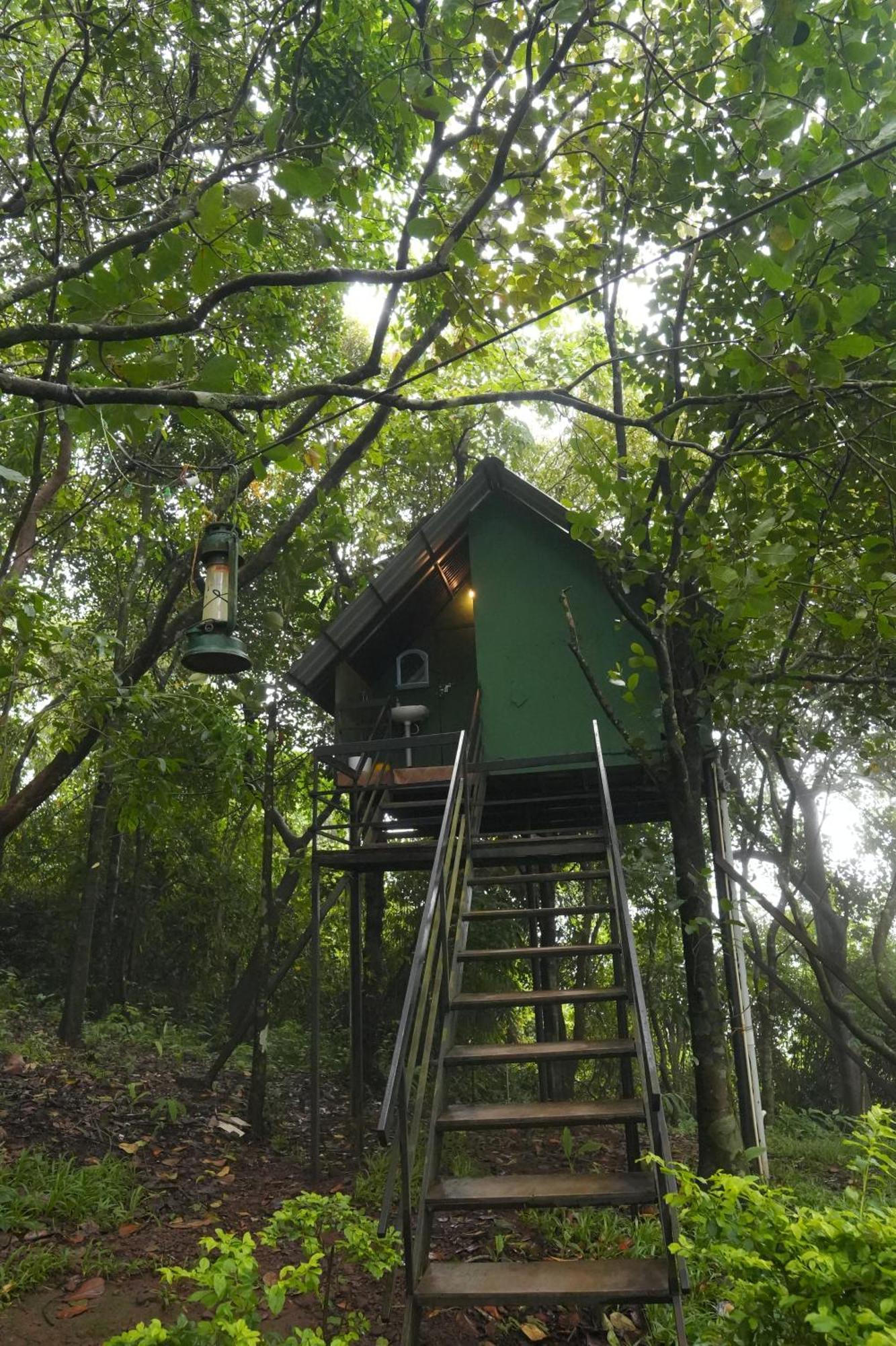 Regina Silva Camping & Nature Resort Paithalmala ภายนอก รูปภาพ