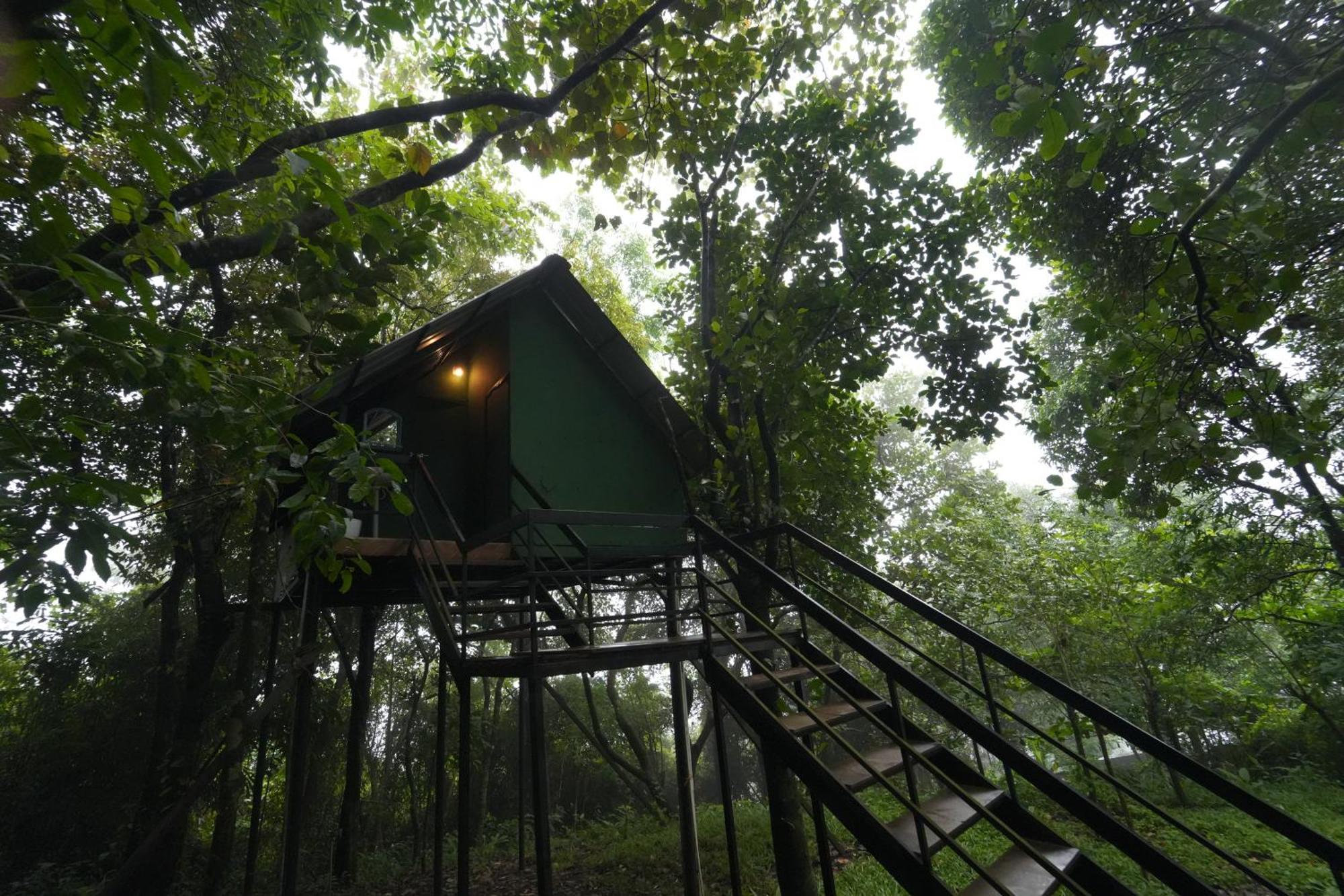 Regina Silva Camping & Nature Resort Paithalmala ภายนอก รูปภาพ